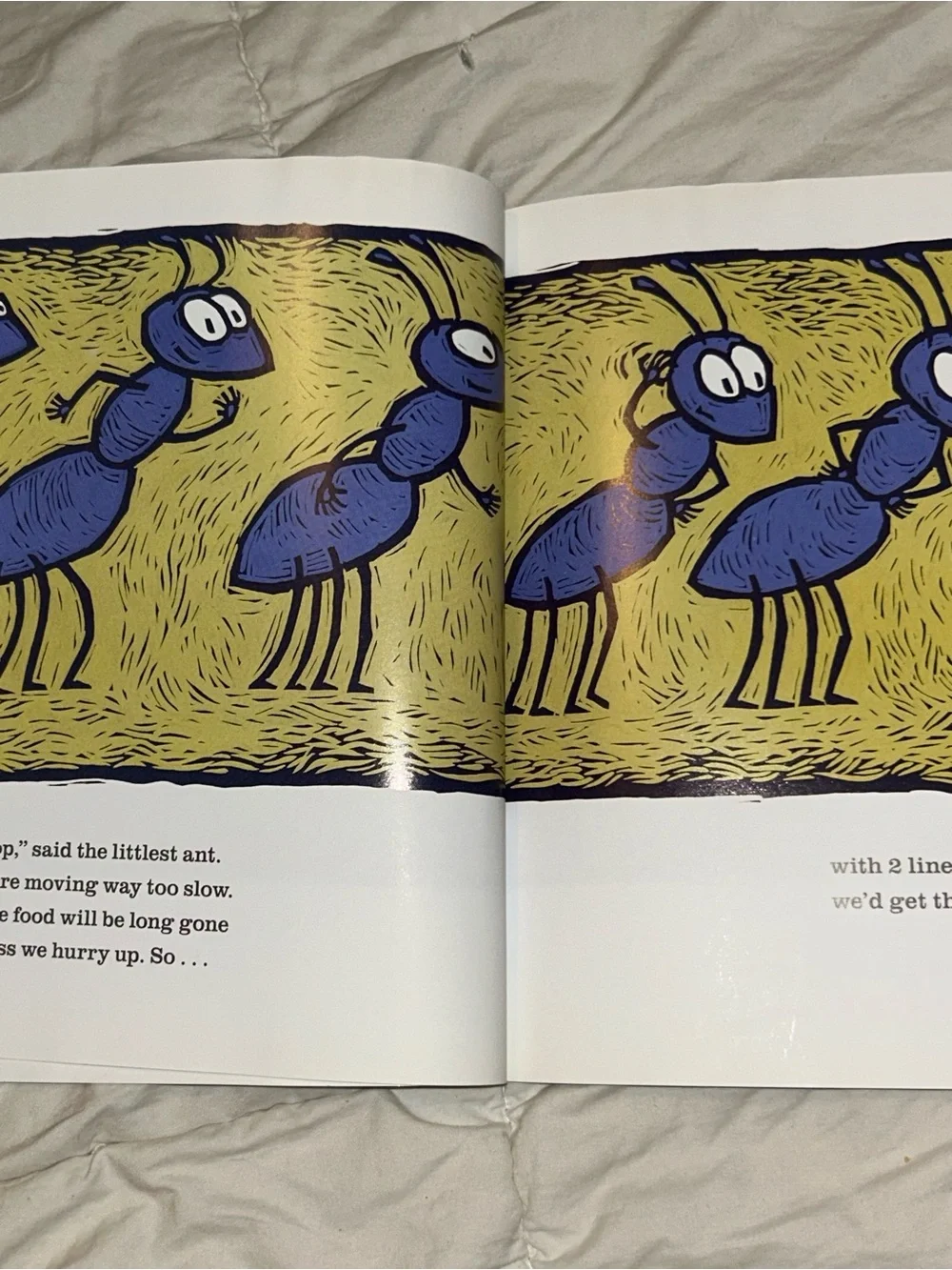 Houghton Mifflin there was